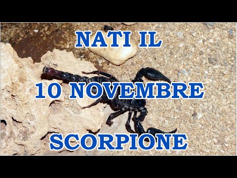 Video: Il 10 novembre è uno Scorpione?