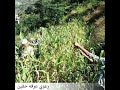 اغاني زراعيه تراث