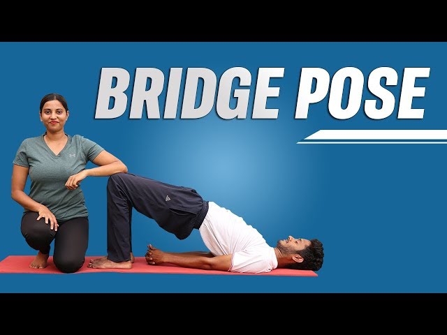 Excellent Basic Yoga Poses for Beginners