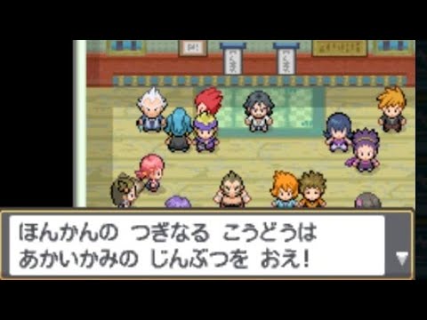 ポケモンhgss 感動 とりしらべシーン チート Youtube