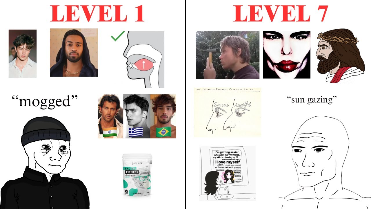 The 7 levels of Looksmaxxing