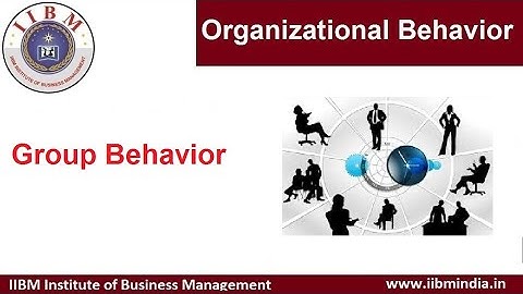 IIBM Institute | Organizational Behavior | Group Behavior