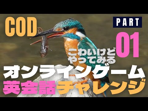 英会話初級者が勇気を出してボイスチャットに挑戦　オンラインゲームで英会話チャレンジ１
