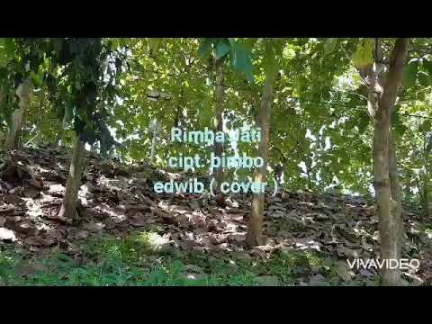 MELATI DARI JAYAGIRI - BIMBO (Iin Parlina) - lirik