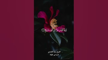 قران كريم ارح قلبك وسمعك #quran #المصحف #قران #yasseraldossary #سعد_الغامدي @قران_في_دقيقة