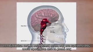 Jim Carrey_  INSTANT THIRD EYE ACTIVATION