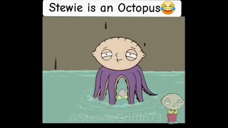 Stewie is an Octopus 🤣😂