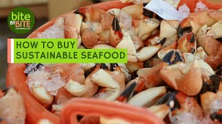 How to Buy Sustainable Seafood | Bite by Bite: Sustainable Eats