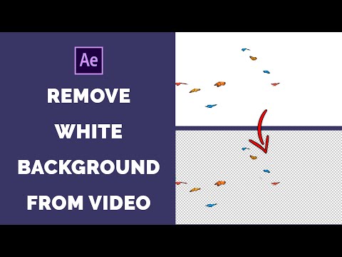Video: How To Remove White On White