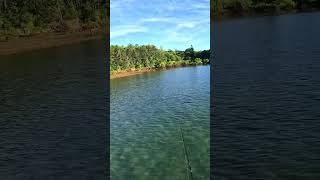 These Fish Always Blow My Mind With That First Run