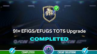 91+ EFIGS/EFUGS TOTS Upgrade Pack Opened - Cheap Solution & SBC Tips - FC 26