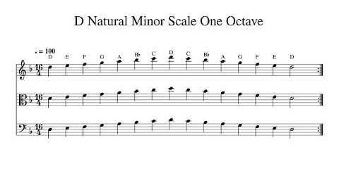 D Natural Minor Scale One Octave at 100bpm Backing Track BnW