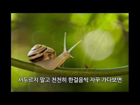 "달팽이처럼" 꼬물꼬물 달팽이의 꿈을 아시나요? 아주 작고 여린 달팽이지만 소망과 희망으로 지치지 않고 앞으로 나아가는 모습이 오늘의 나에게 큰 힘이 됩니다.