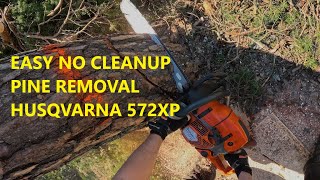 Easy pine tree removal with big dropzone and no cleanup | Husqvarna 572XPG by patkarlsson 9,128 views 10 months ago 17 minutes