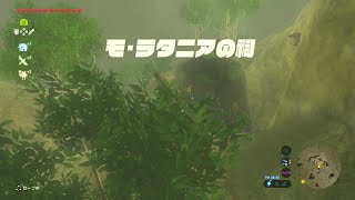 【ゼルダの伝説ブレス オブ ザ ワイルド】プレイ動画　Part136