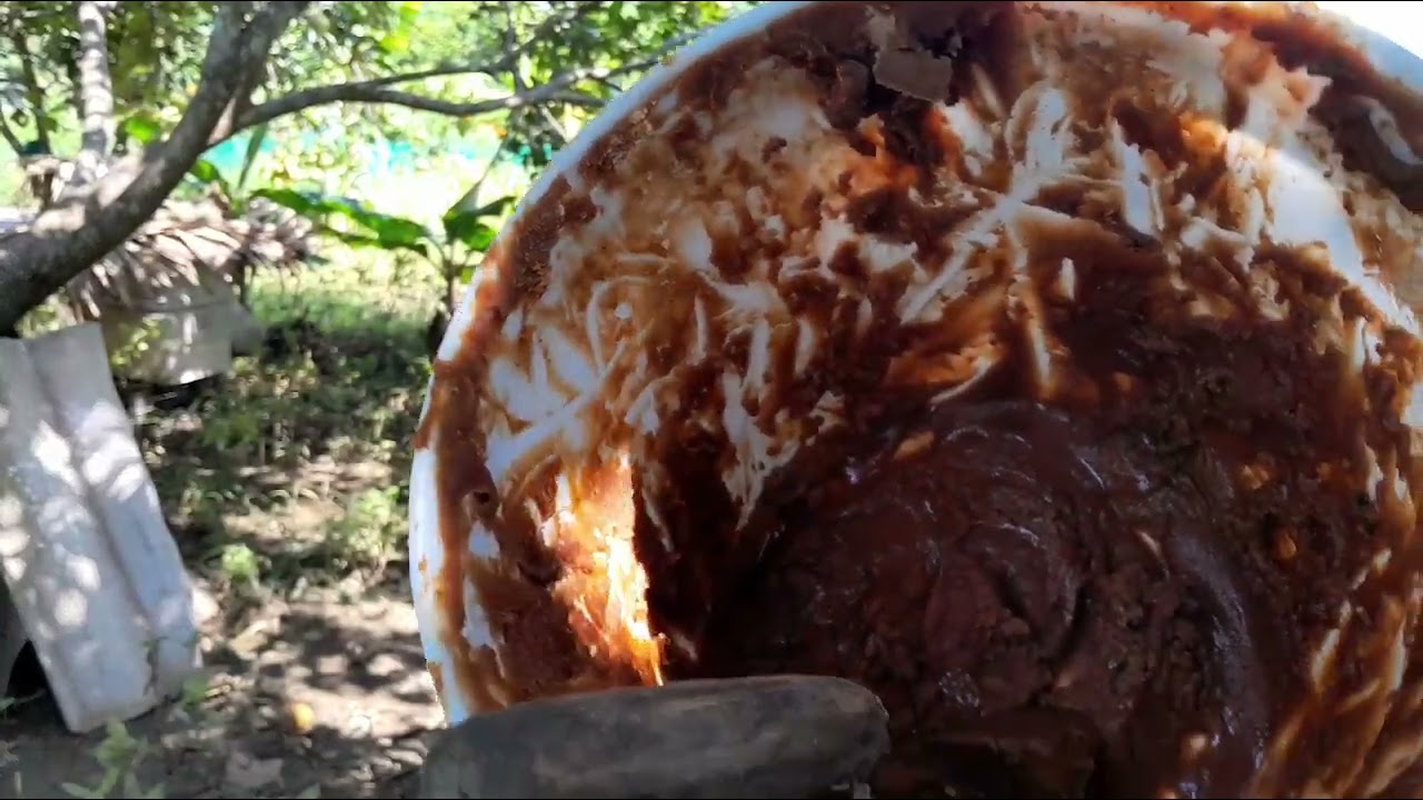 1 KỸ THUẬT ÍT AI BIẾT,RÚT NHỮNG CẦU ONG ĐẸP CHÚA CHƯA ĐẺ VỀ BẢO QUẢN  VỤ VƯỢT HÈ.