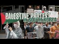protest for Palestine in South Korea !!! - VLOG
