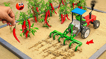 DIY Mini Tractor Can Plough Real Chilli Farming In Mud Science Project |DIY Ganpati Farm