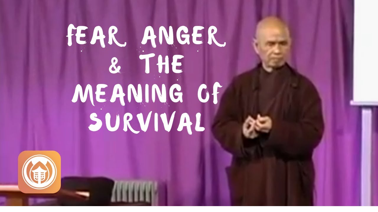 Fear, Anger, and the Meaning of Survival | Thich Nhat Hanh (short teaching video) - YouTube
