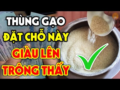 Video GIÀU LÊN TỪNG NGÀY Nhờ Chuyển Hũ Gạo Vào Đúng Chỗ Này,... - youtube
