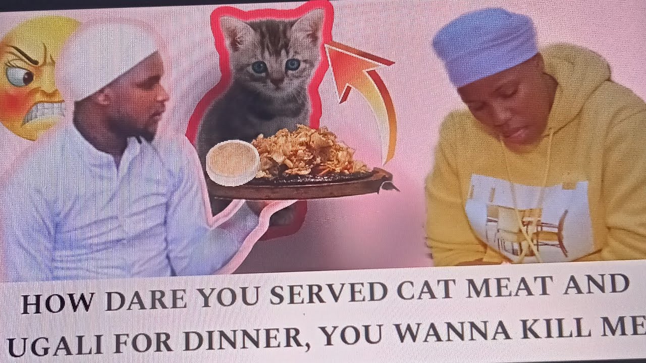 «ТЫ ПРИГОТОВИЛ КОШАЧЬЕ МЯСО С УГАЛИ🐹», ОНА ПРОИГНОРИРОВАЛА И СЪЕЛА КОШАЧЬЕ МЯСО С УГАЛИ