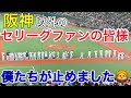 ライオンズ勝利の瞬間! 阪神の10連勝を阻止して5月を締めくくる!【西武4-0阪神】2023/5/31 セ・パ交流戦2戦目