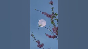 Thumbnail of La Vie En Rose | Emily Watts |
