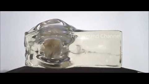 Bullet Through Ballistic Gel