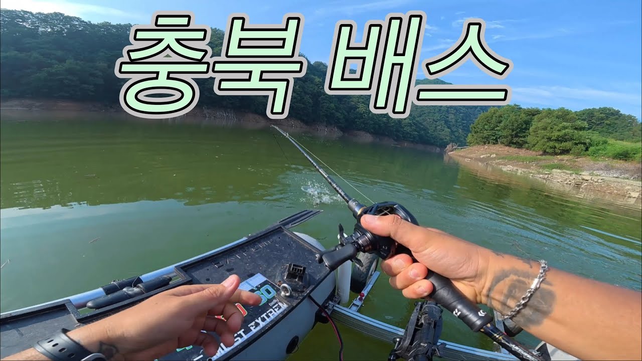 충북 배스 잡으러 가봤습니다