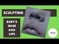 Sculpting babys nose and lips in clay sculpting demo