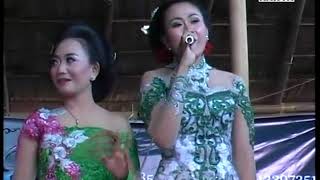 PURWO WILIS™ ★ Asal Kau Bahagia ★ All Artis ★ Pencil Puhpelem 2017