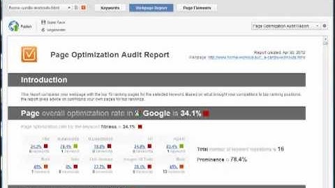 Content Optimization - WebSite Auditor training video