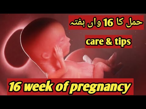 16 week of pregnancy in urdu || @TalkAboutHealth5