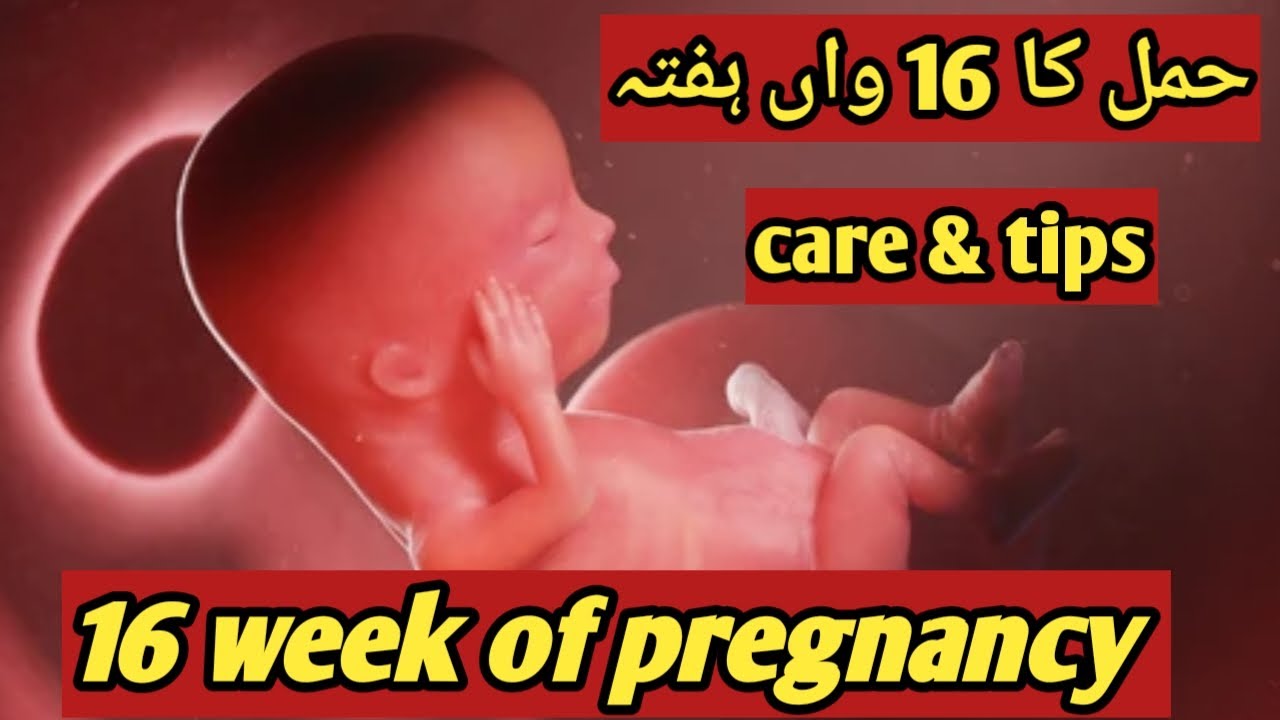 16 week of pregnancy in urdu talkabouthealth9675 YouTube