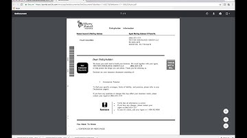 Tryton 24/7 - How to view accounts and download documents