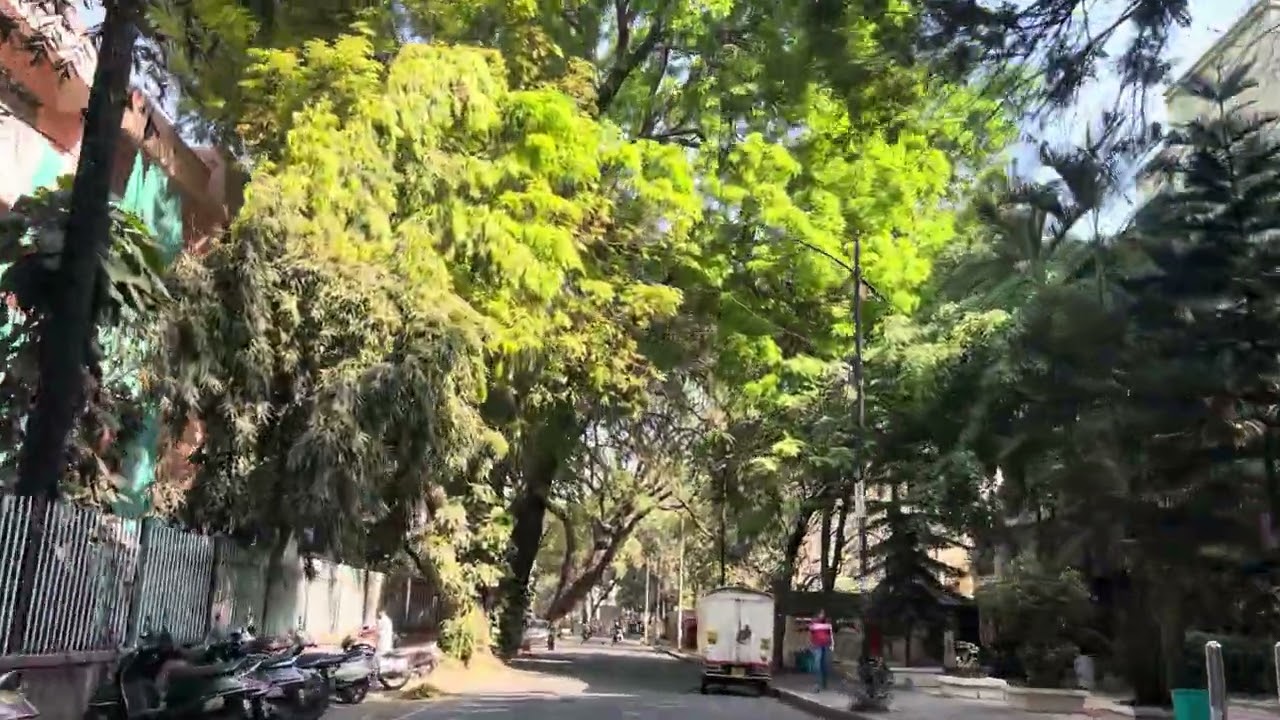 BOAT CLUB ROAD BUND GARDEN