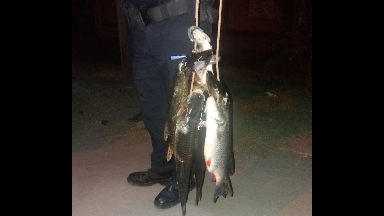 Патрульні виявили чоловіків, які можуть бути причетні до браконьєрства