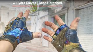 Hydra Gloves Case Hardened , Now Pattern Based?