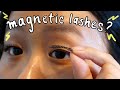 do magnetic lashes really work?
