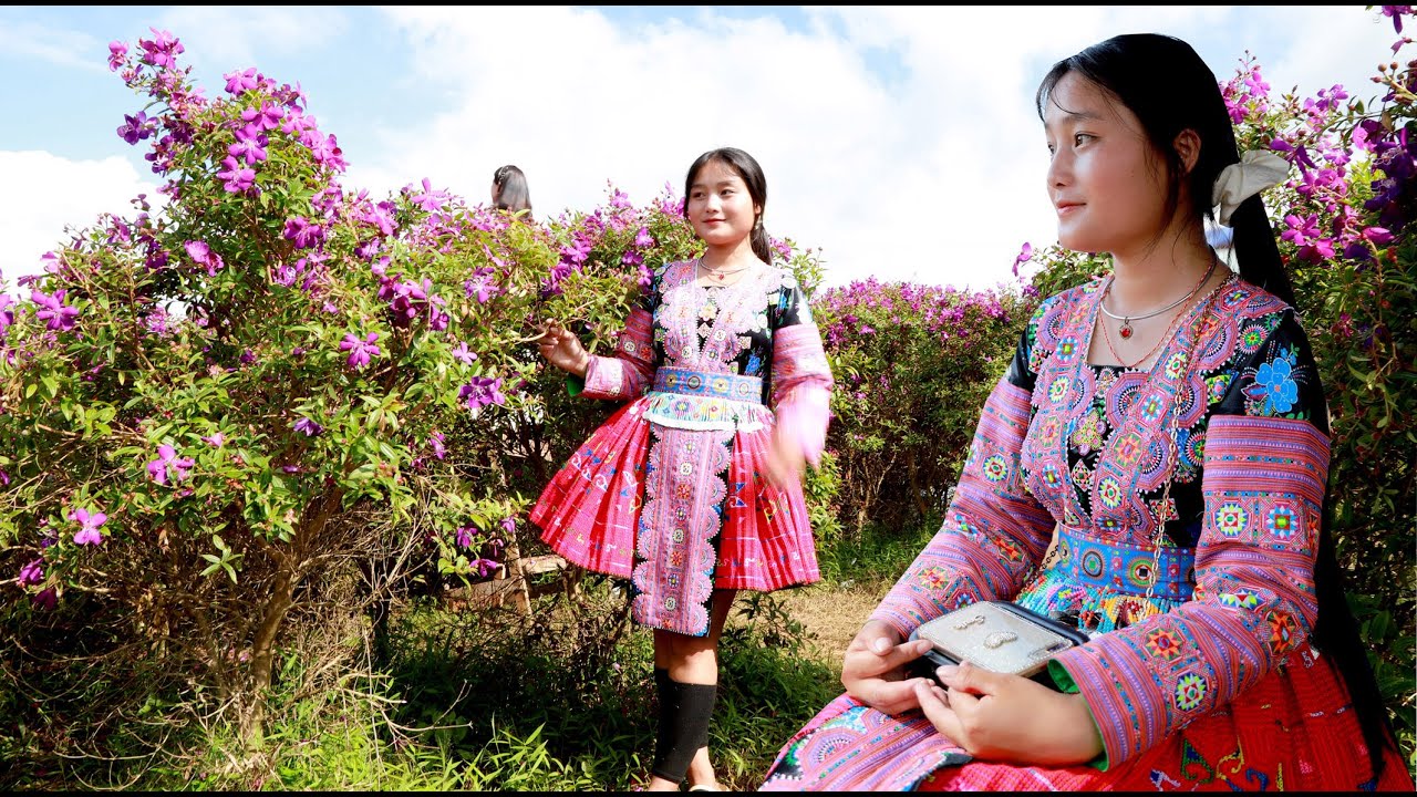 LK Organ Kev Hlub Tws Rau Koj, Hoa Của Núi, Nkauj Hmoob Toj Siab, A Xô