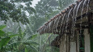 When the Rain Feels Like Home | Heavy Rain Sounds for Deep Sleep