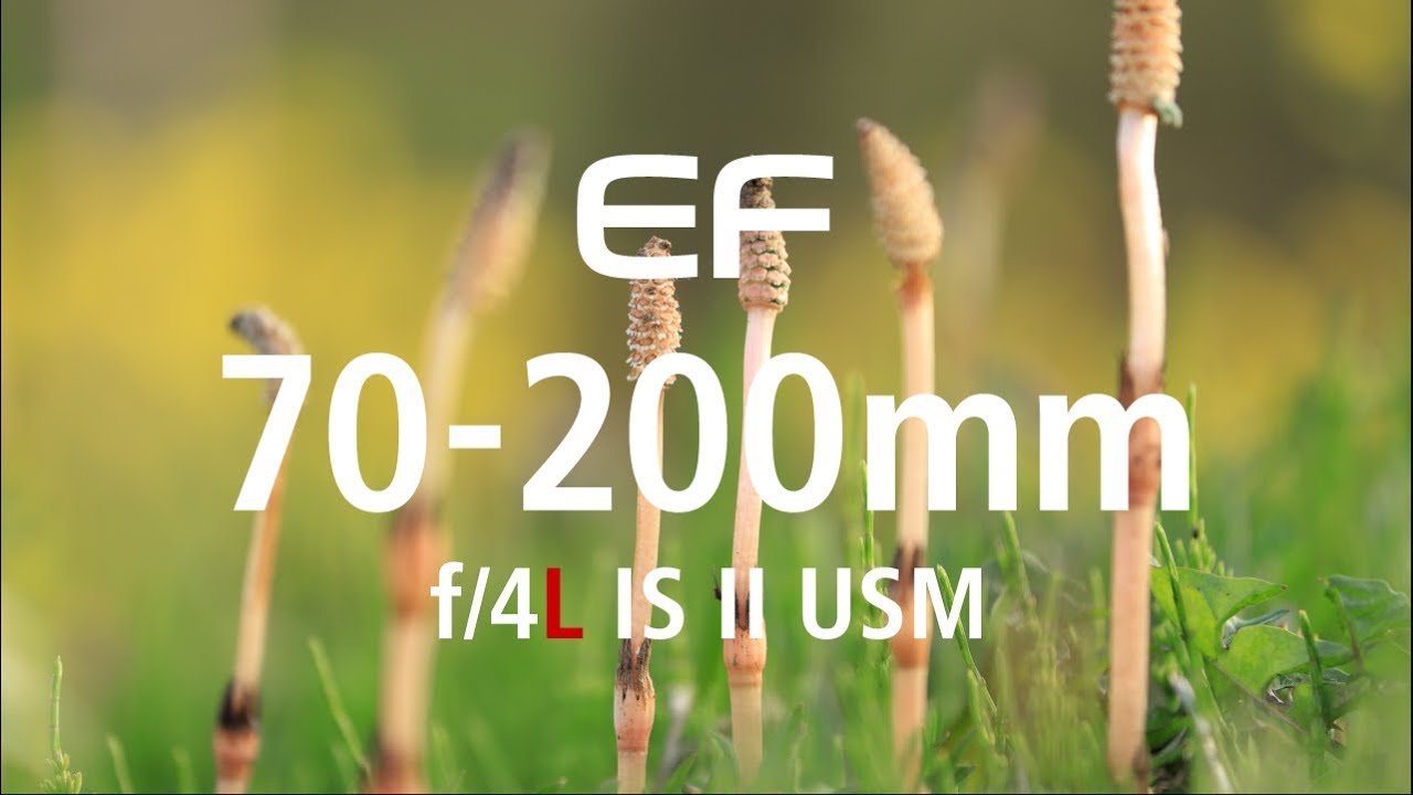 EF70-200mm f/4L IS II USM \
