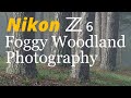 Nikon Z6 • Foggy Woodland Photography