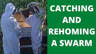 HOW TO CATCH A SWARM OF BEES: Capture and re-home a swarm of honey bees | OFF GRID BEE KEEPERS