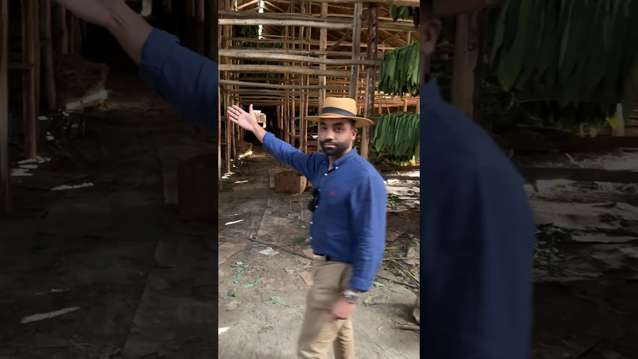 Exploring a Curing Barn - a must see experience! 