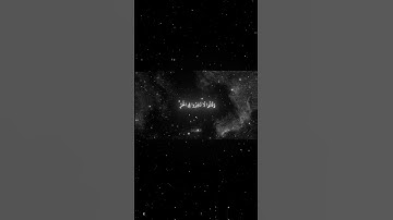 سورة التوبة|81-82|القارئ:#محمد_اللحيدان #قران #quran #راحة_نفسية #قران_كريم #تلاوة_هادئة#تلاوة_خاشعة