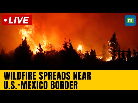 Live | Wildfire in Otay Mountain Wilderness, near California-Mexico border | N18G Episode cover