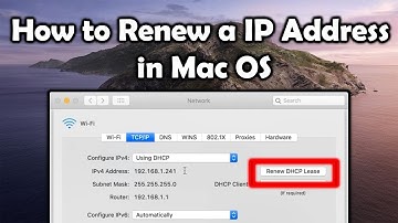 How to Renew a Mac’s IP Address
