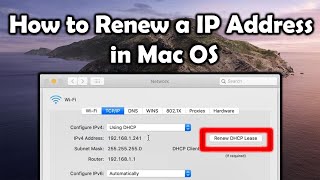 How to Renew a Mac’s IP Address