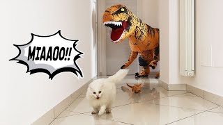 DIVENTO UN DINOSAURO E FACCIO UNO SCHERZO AI NOSTRI CUCCIOLI! *reazione gattini vs dinosauro* screenshot 3